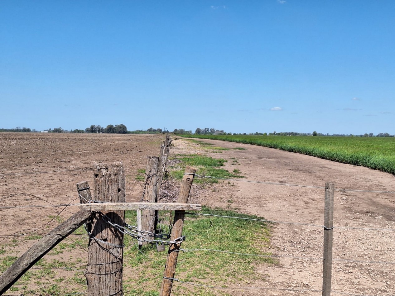 178 has agricolas - Las Heras / Cañuelas