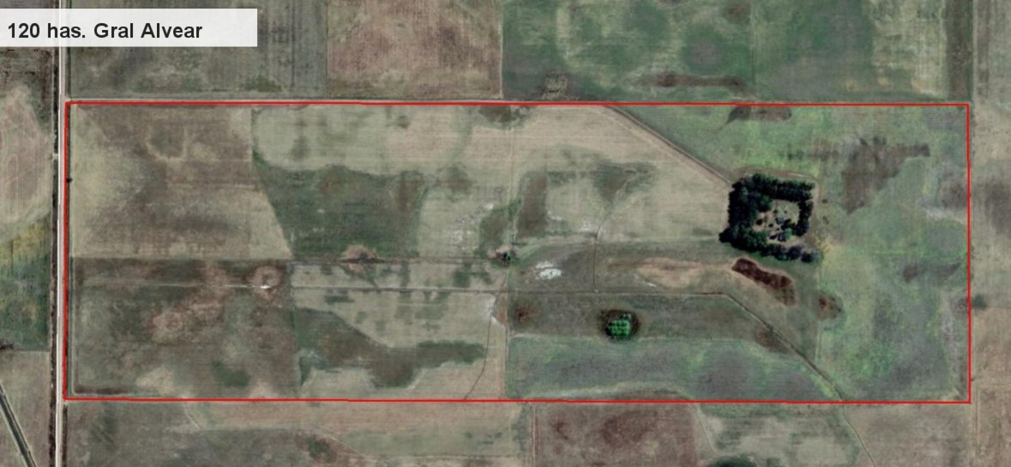 120 has Gral. Alvear - Campo Mixto totalmente armado