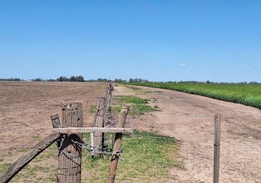 178 has agricolas - Las Heras / Cañuelas