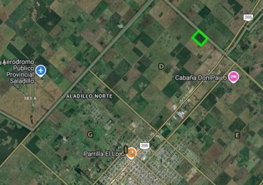 12 has agricolas en Saladillo